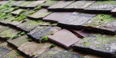 Donnington Wood roof repair costs